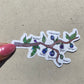 Fig Tree Dreams Sticker